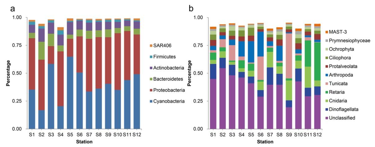Picoplankton community composition at the phylum level: (a) prokaryotic phyla and (b) eukaryotic phyla