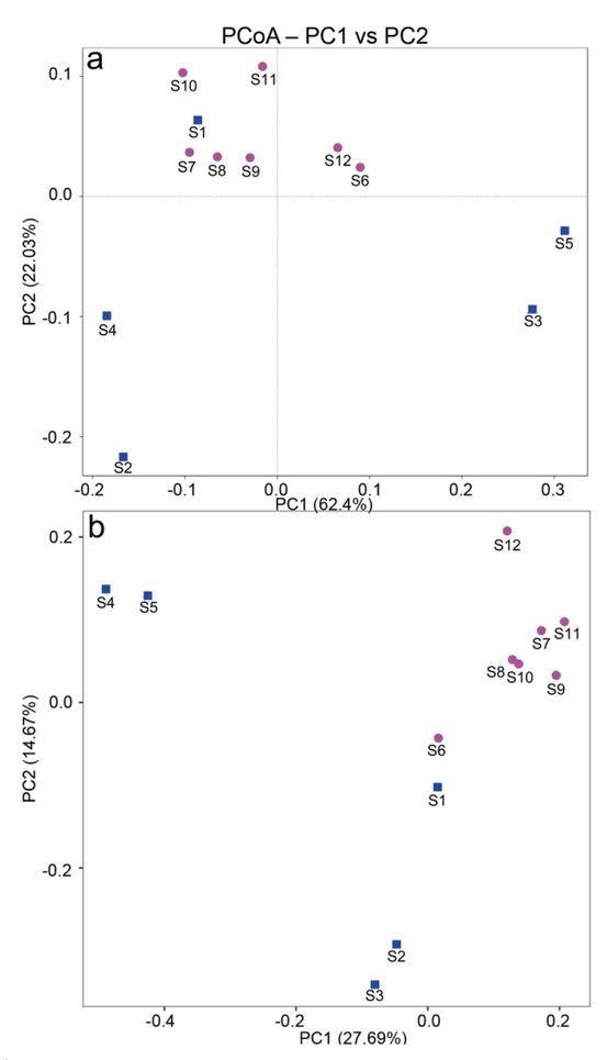 Weighted UniFrac principal coordinates analysis (PCoA) of picoplankton communities from the Straits of Malacca to the South China Sea; (a) prokaryotes and (b) eukaryotes