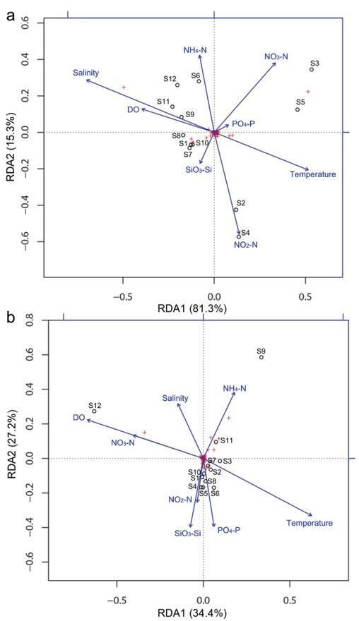 Redundancy analysis (RDA) ordination plot of environmental parameters and picoplankton communities; (a) prokaryotes and (b) eukaryotes