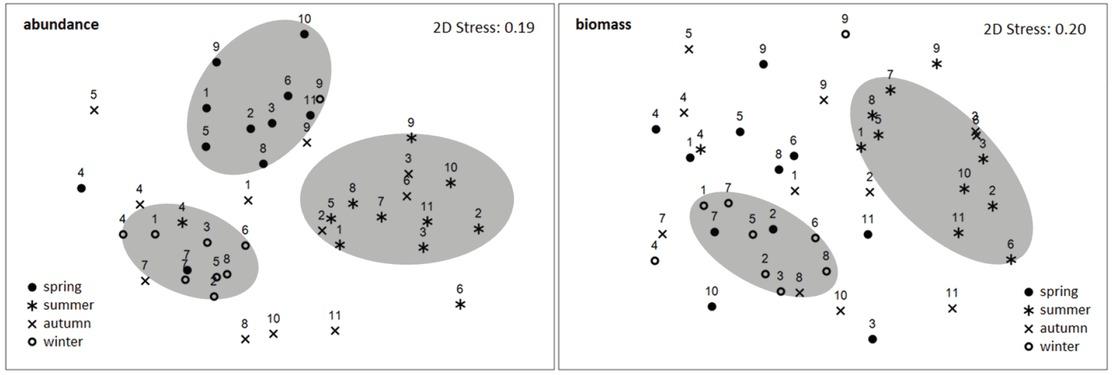 Non-metric multi-dimensional scaling ordination of the sampling locations in the Min estuary in 2015, ordered according to fish abundance (left) and biomass (right) recorded in each season