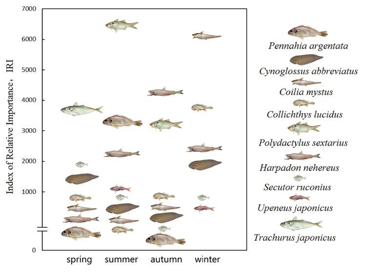 Seasonal variation of dominant species in the fish community in the Min estuary