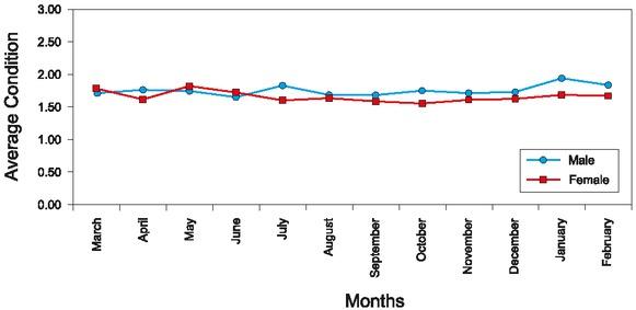Average values of the condition factor for male and female individuals of C. gibelio