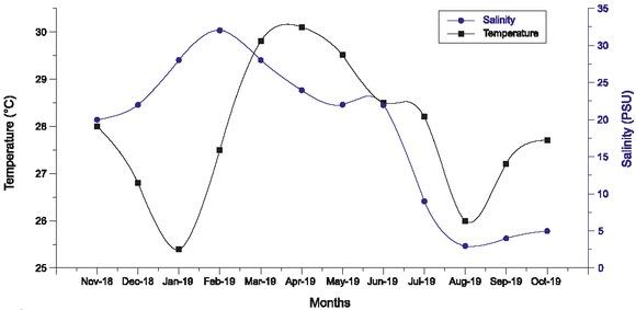 Distribution of surface water temperature and salinity in different months