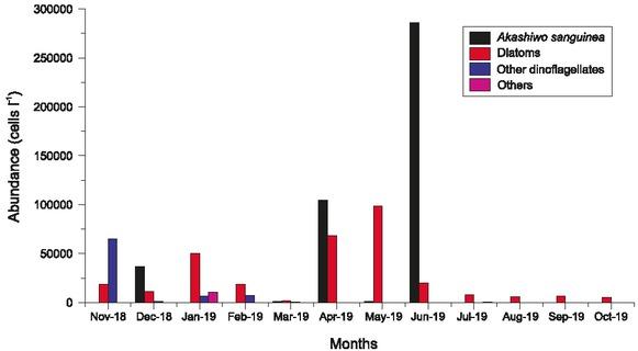 Monthly abundance of four groups of phytoplankton, i.e. Akashiwo sanguinea, diatoms, other dinoflagellates and other taxa (Others)