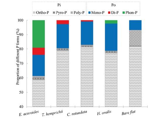 Proportion of P forms in solution 31P-NMR spectra for NAOH-EDTA