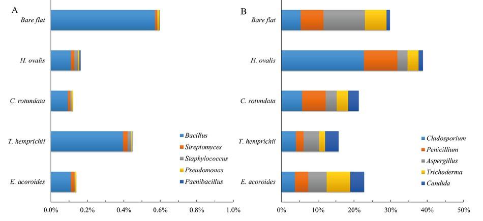 Relative abundance of the top five genus-level P-cycling-related bacteria (A) and fungi (B) detected by 31P-NMR. Blue arrows represent different genera of microbes, while red arrows represent P forms. Correlation between P forms and RDA axes is shown by both the length and angle of the arrows.