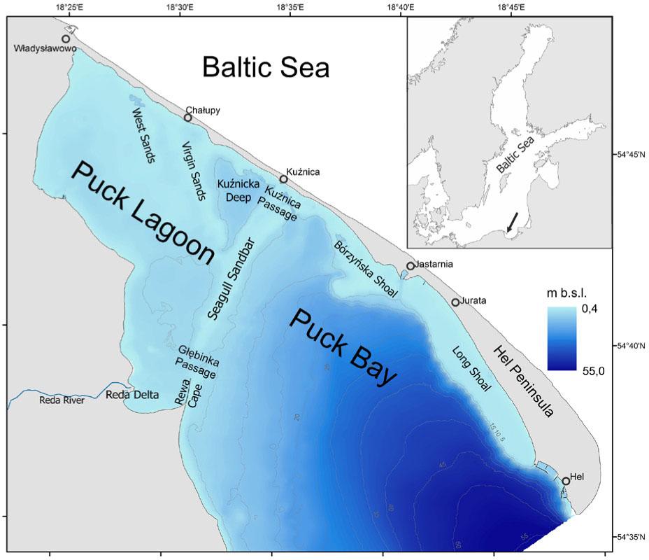 Location of the study area
