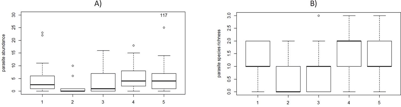 Abundance (A) and species richness (B) of fish parasites in five localities. Horizonal bar = median, box = interquartile range, whiskers = non-outlier range (1.5*interquartile range), dots = outliers. Abundance outside the presented y-axis range are written as values. Centroids of the localities are indicated by numbers: 1 = Stryiska, 2 = Znesinnia, 3 = Maliushevske, 4 = Inzhenerne, 5= Plastova.