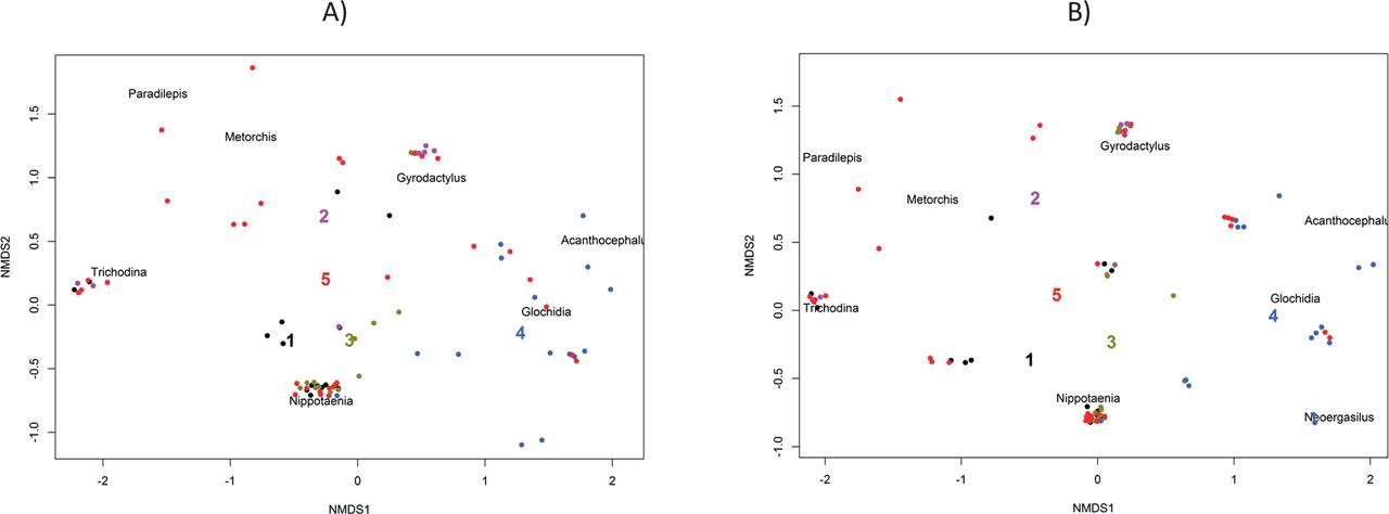 Non-metric multidimensional scaling (NMDS) of parasite assemblages in fish from five sites (colors of the dots correspond to site centroids) using Bray–Curtis (A) and Jaccard (B) indices. Centroids of the localities are indicated by numbers: 1 = Stryiska, 2 = Znesinnia, 3 = Maliushevske, 4 = Inzhenerne, 5 = Plastova. NMDS stress = 0.048 (A) and 0.023 (B).