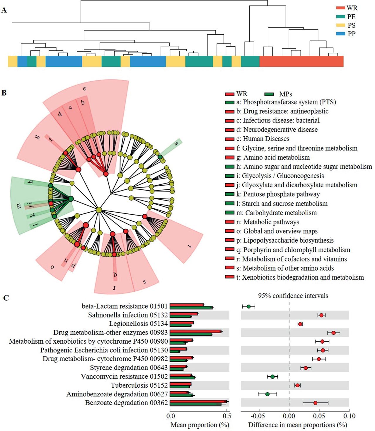 (A) Hierarchical cluster analysis of KEGG categories at level 3. (B) LEfSe analysis using abundance of the predicted metabolic pathway. Biomarkers were selected based on the Kruskal–Wallis test (p < 0.05) and the linear discriminant analysis score greater than 2.8. (C) Comparison of the abundance of predicted metabolic pathways of Drug resistance: antimicrobial, Infectious disease: bacterial and Xenobiotics biodegradation at level 3. A positive value indicates a significantly (p < 0.01) higher abundance of metabolic pathways in bacteria associated with seawater compared with this those associated with MPs.