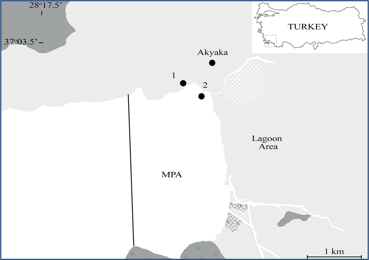 Study area; 1 and 2 indicate anglers’ locations