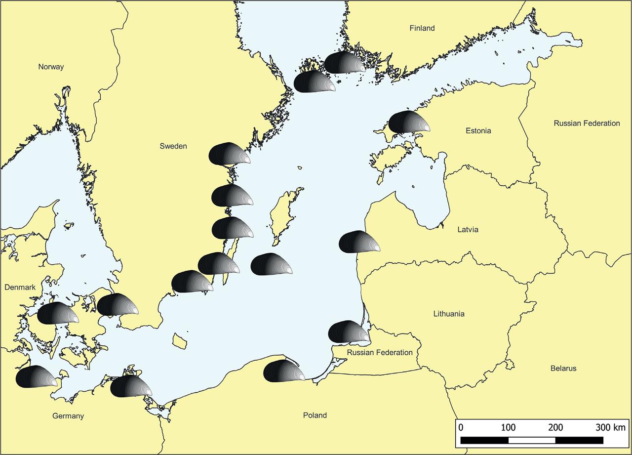 Location of the mussel farms in the Baltic Sea (based on the original map of de Grunt 2019, GIS data: © EuroGeographics for the administrative boundaries; Laboratory of GIS, University of Gdansk for the contour of the Baltic Sea).