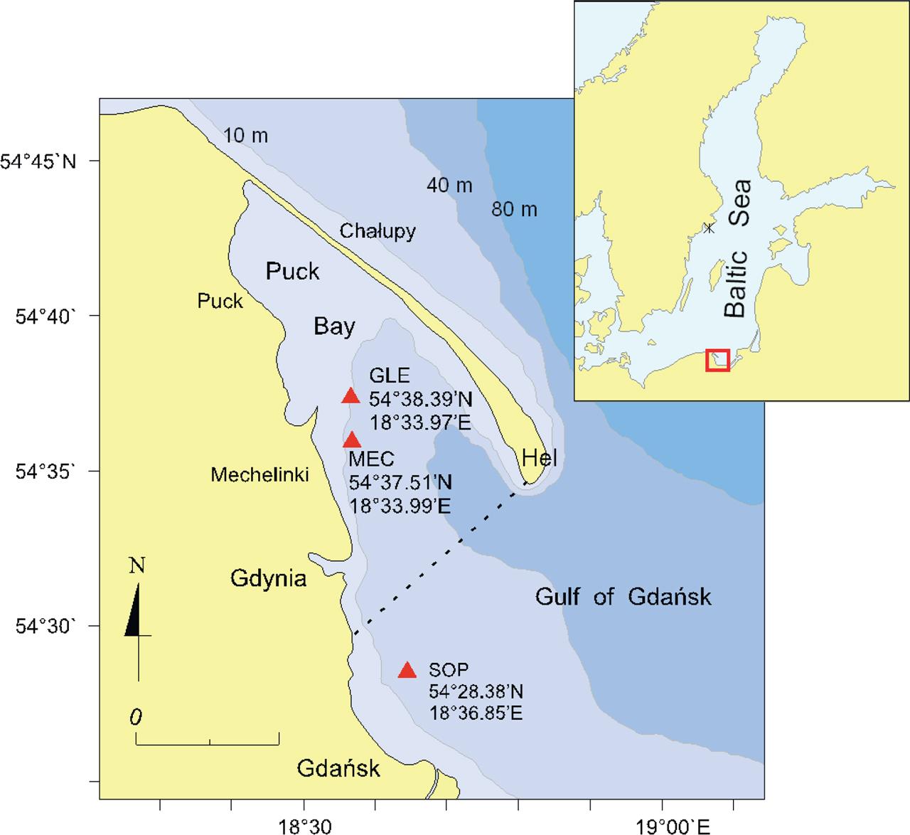 Location of the experimental mussel farming sites in the Gulf of Gdańsk (source: Sami Alias 2014, modified). Dashed line border of Puck Bay within the gulf.