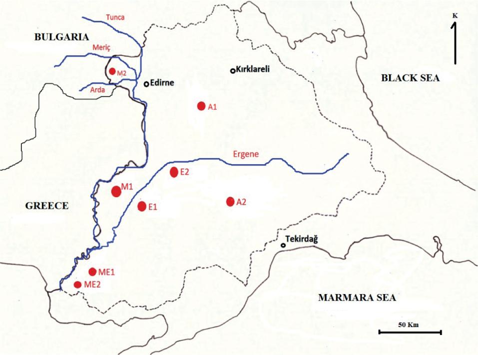 Sampling locations according to irrigation water source (M1, M2 – Meriç River; A1, A2 – Artesian water; E1, E2 – Ergene River; ME1, ME2 – mixed water of the Meriç and Ergene rivers)