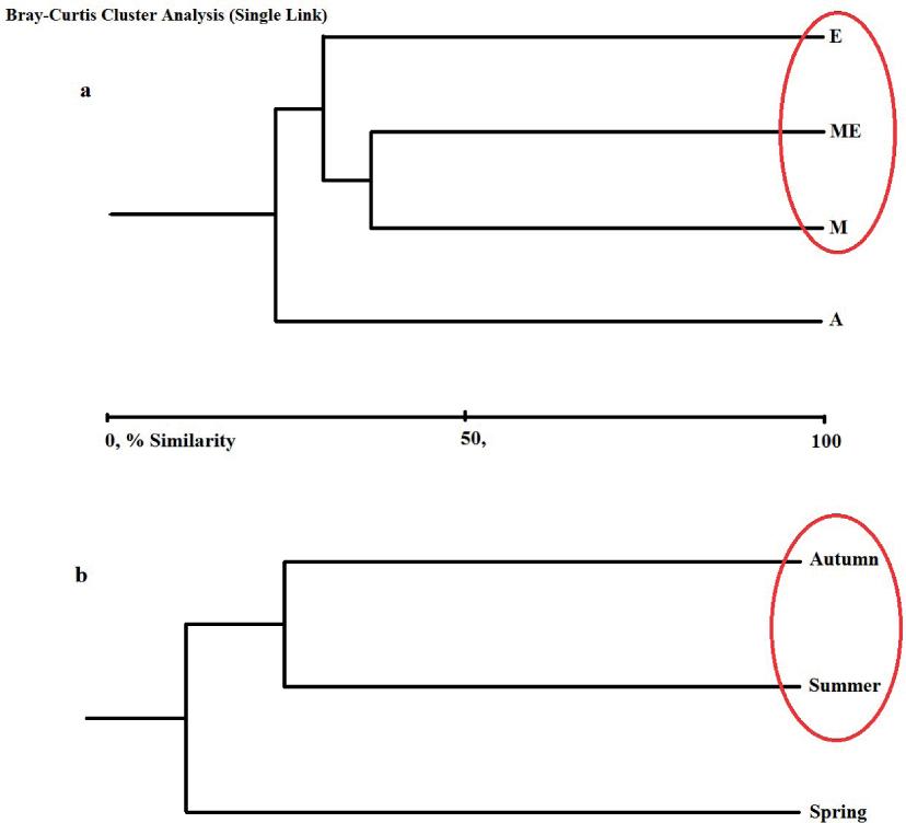 a – Dendrogram of similarity of the sampling locations for benthic macroinvertebrates; b – Dendrogram of similarity of the sampling seasons for benthic macroinvertebrates