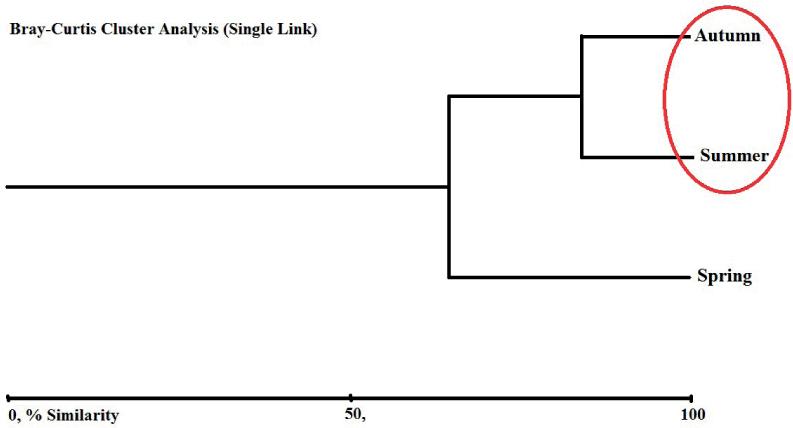 Dendrogram of similarity of the seasons for physicochemical properties