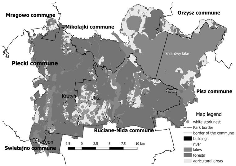 The distribution of the white stork nests within the Masurian Landscape Park boundaries. Source: Own elaboration.