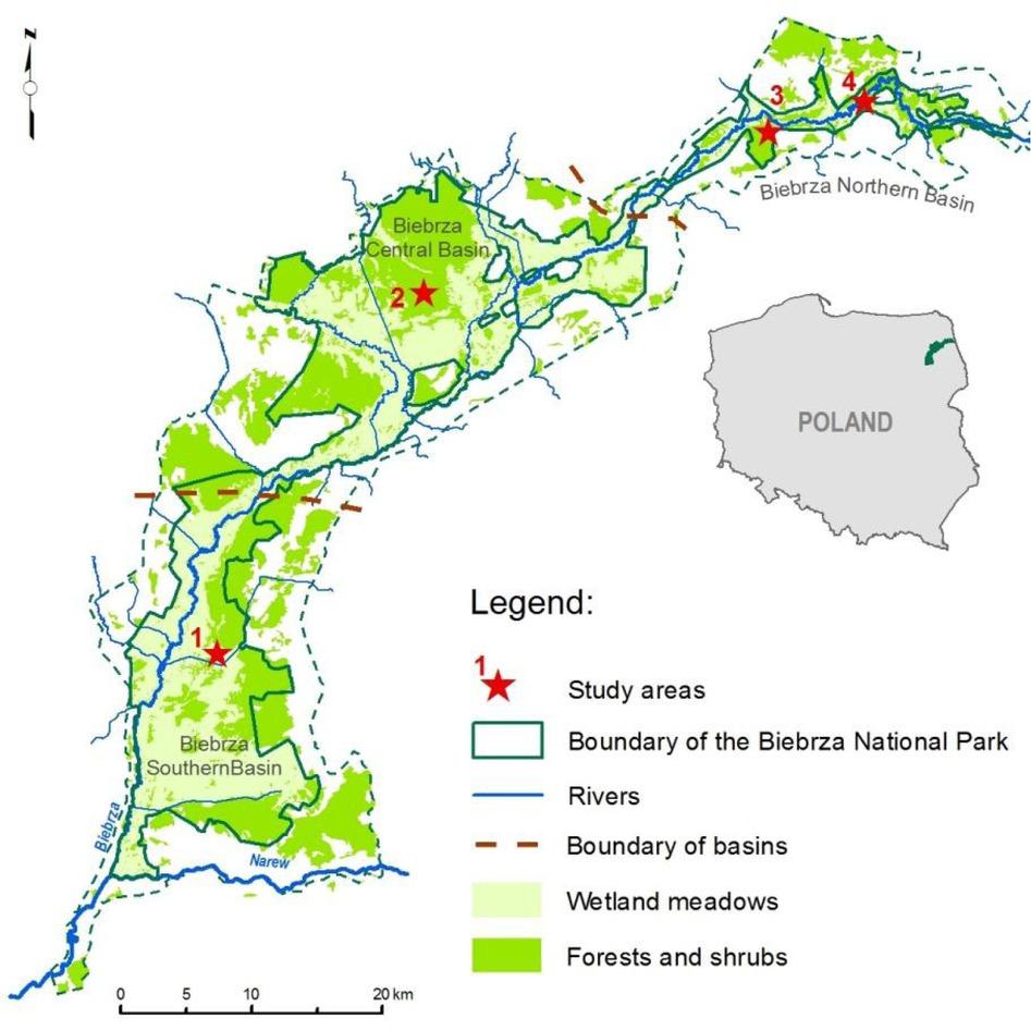 Location of the study sites, Biebrza valley