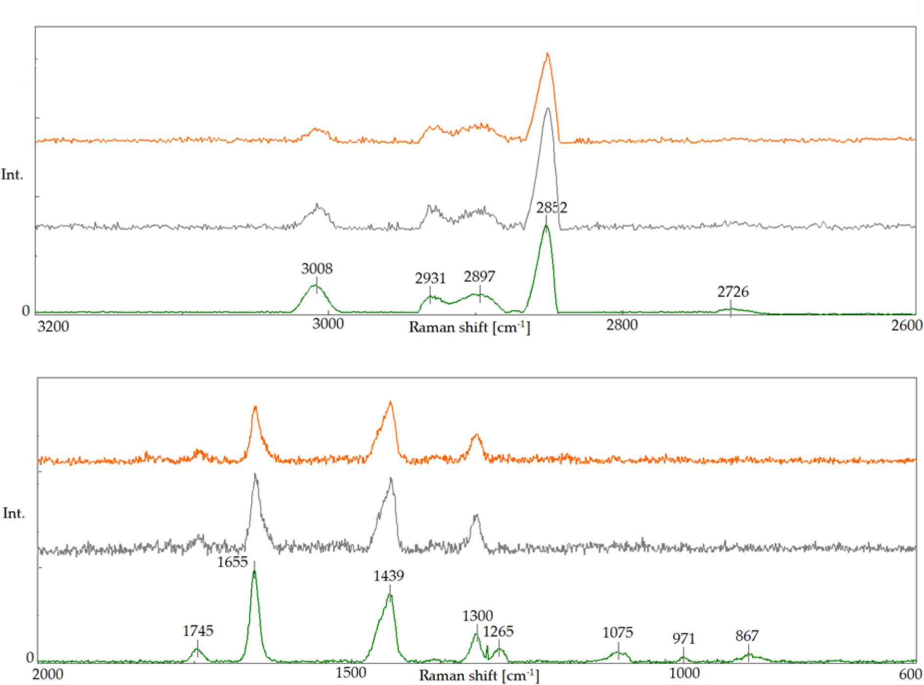 Raman spectra of raw Abyssinian oil A (green) and oils after the oxidation: Oil 1 (orange) and Oil 2 (grey) in the ranges of the Raman frequency shift: 3200 cm−1−2600 cm−1 and 2000 cm−1−600 cm−1