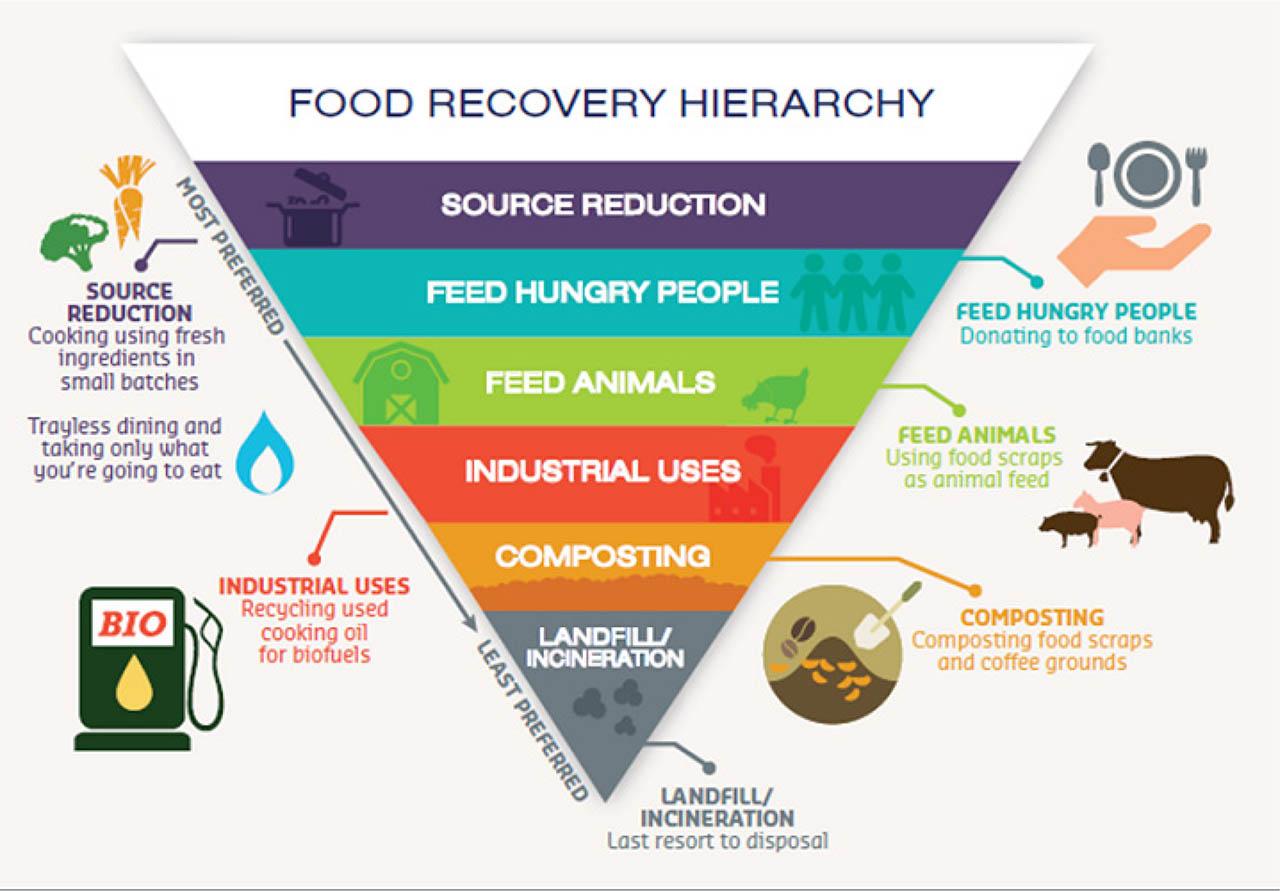 Food Recovery Hierarchy. Source: https://www.bioenergyconsult.com