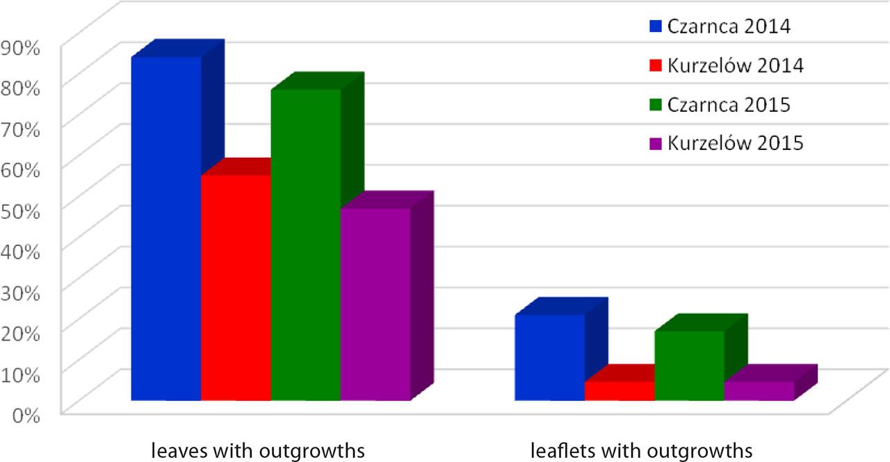 Analysis of acacia robinia leaves and leaflets with outgrowths, on the Czarncy and Kurzelów sites, in successive years of the studySource: own elaboration