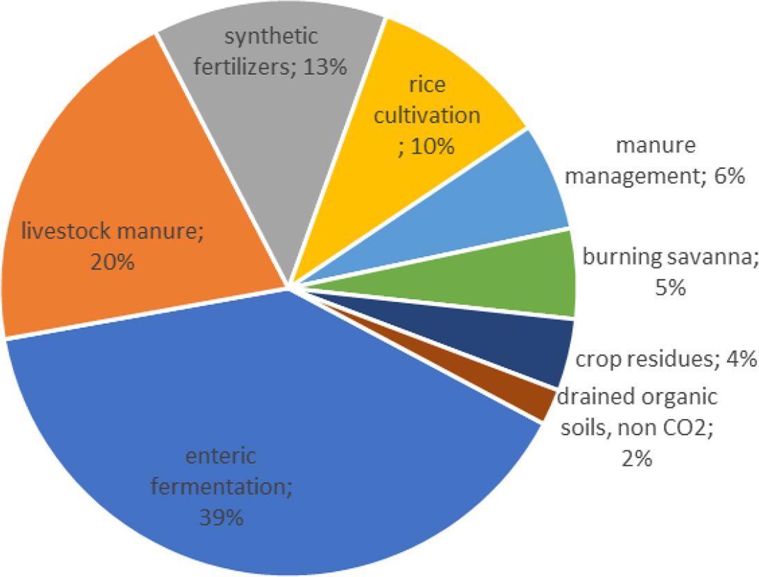 Agriculture’s non-CO2 contributions to GHG emissionsSource: FAO (2020)