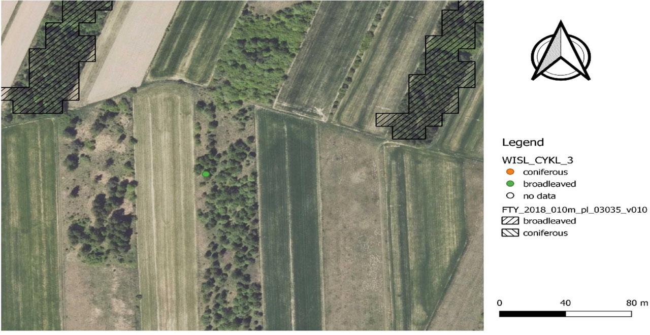 Overview of intersecting NFI plots and HRL FTY imaginary (example 4)