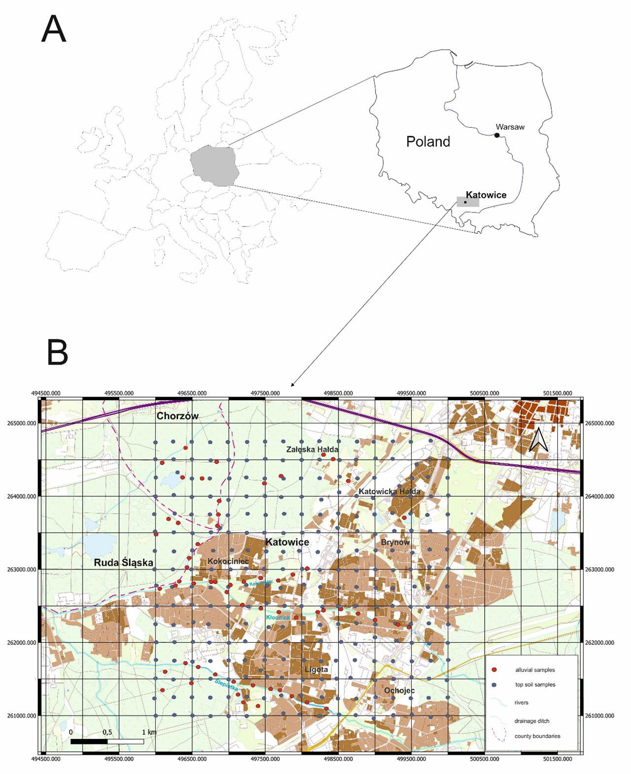 The sampling area: A. Poland’s location in Europe; B. Sampling locations