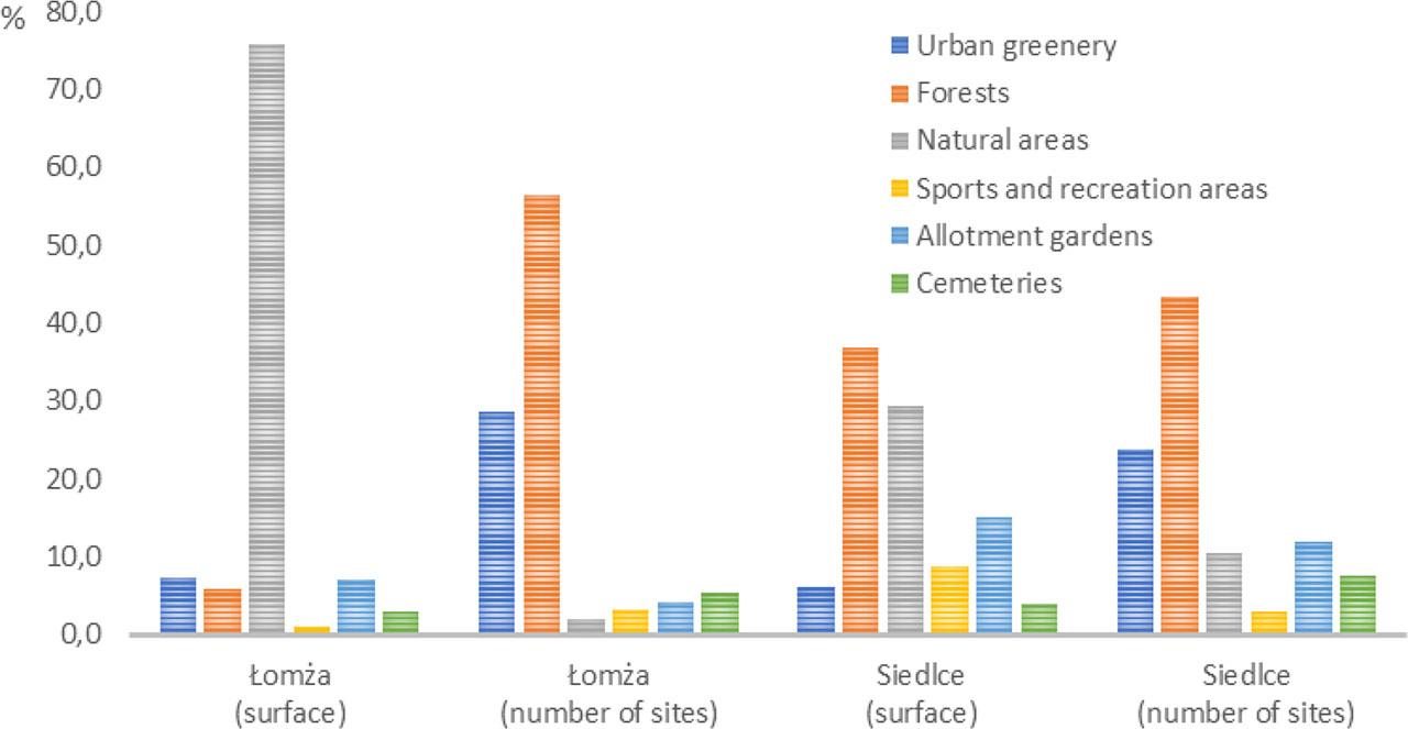 Share of different types of public GI in Łomża and Siedlce by surface and number of sites
