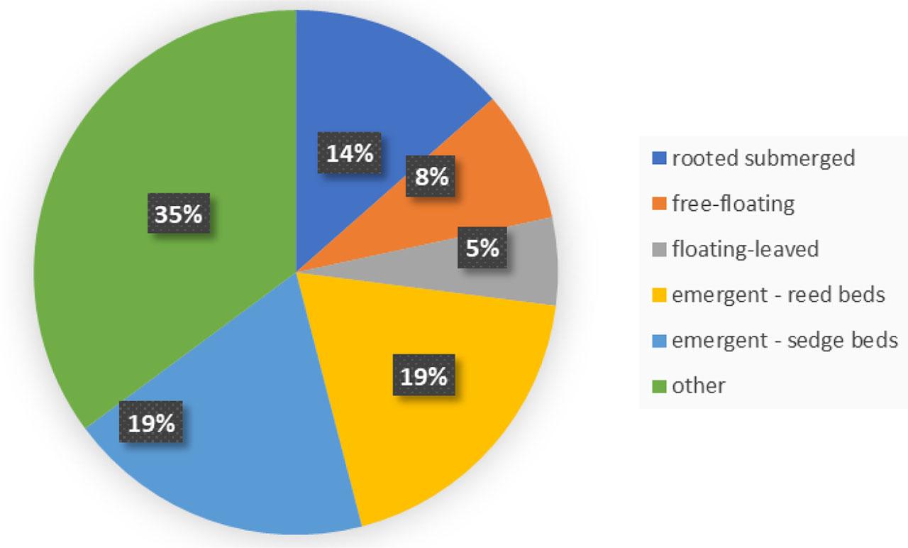Plant species share morpho-ecological groups at the Glinianki pit lake