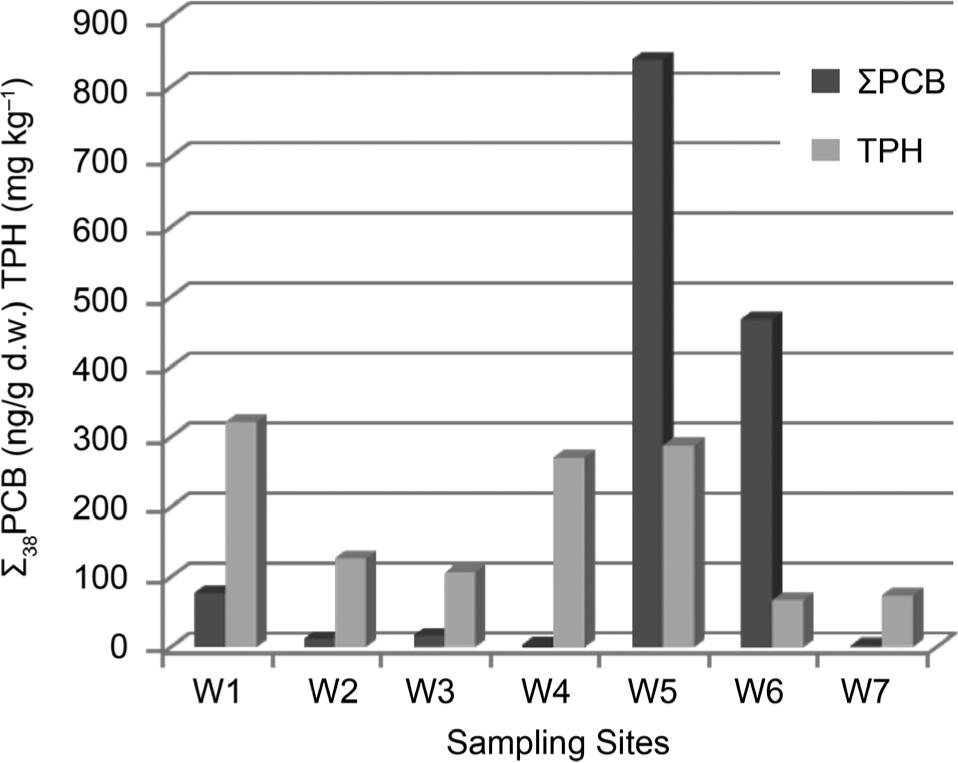 Total PCBs concentrations (38 congeners) and TPHs measured for the 7 sites sampled at the chosen Shuwaikh harbor location, d.w. (dry weight).