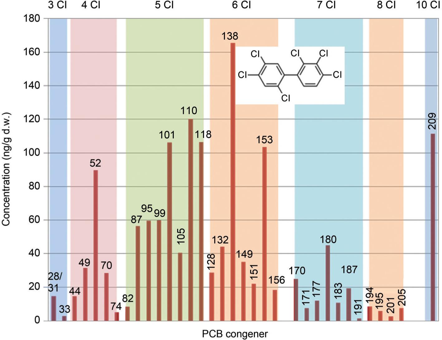Distribution of PCBs congeners in Shuwaikh harbor sediments (summed across all sampling sites), d.w. (dry weight).