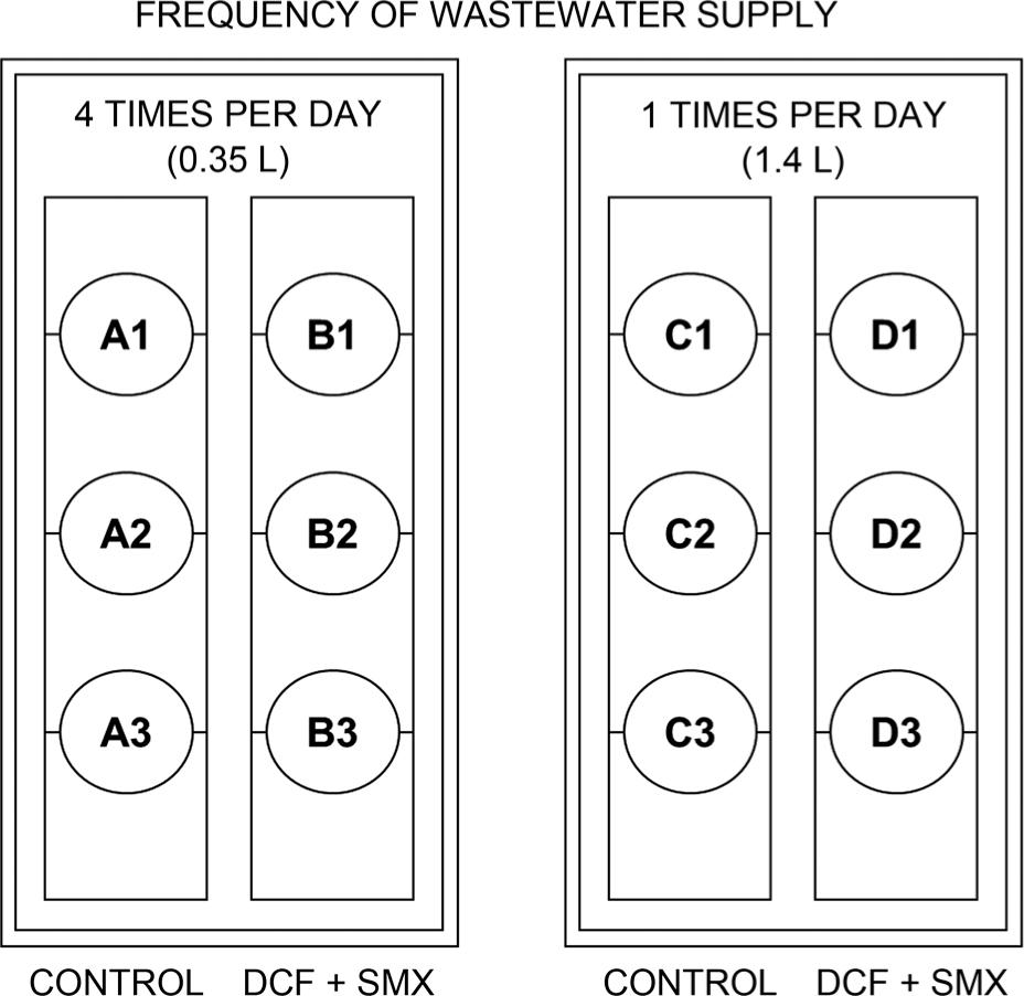 The scheme of a lab-scale constructed wetlands system, from which the plant samples were collected.