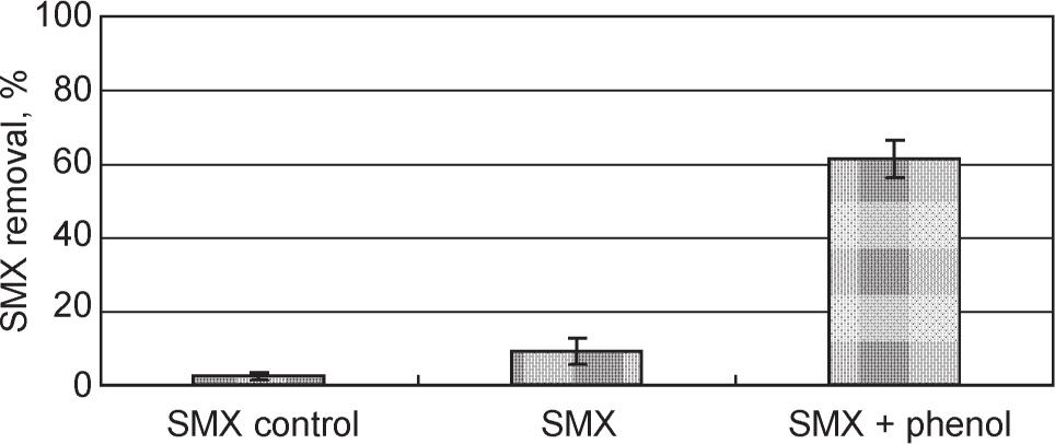 The removal of 2 mg/l SMX by MG7 strain in the adsorption control, without additional carbon source and with phenol at a concentration of 100 mg/l as the additional carbon source.