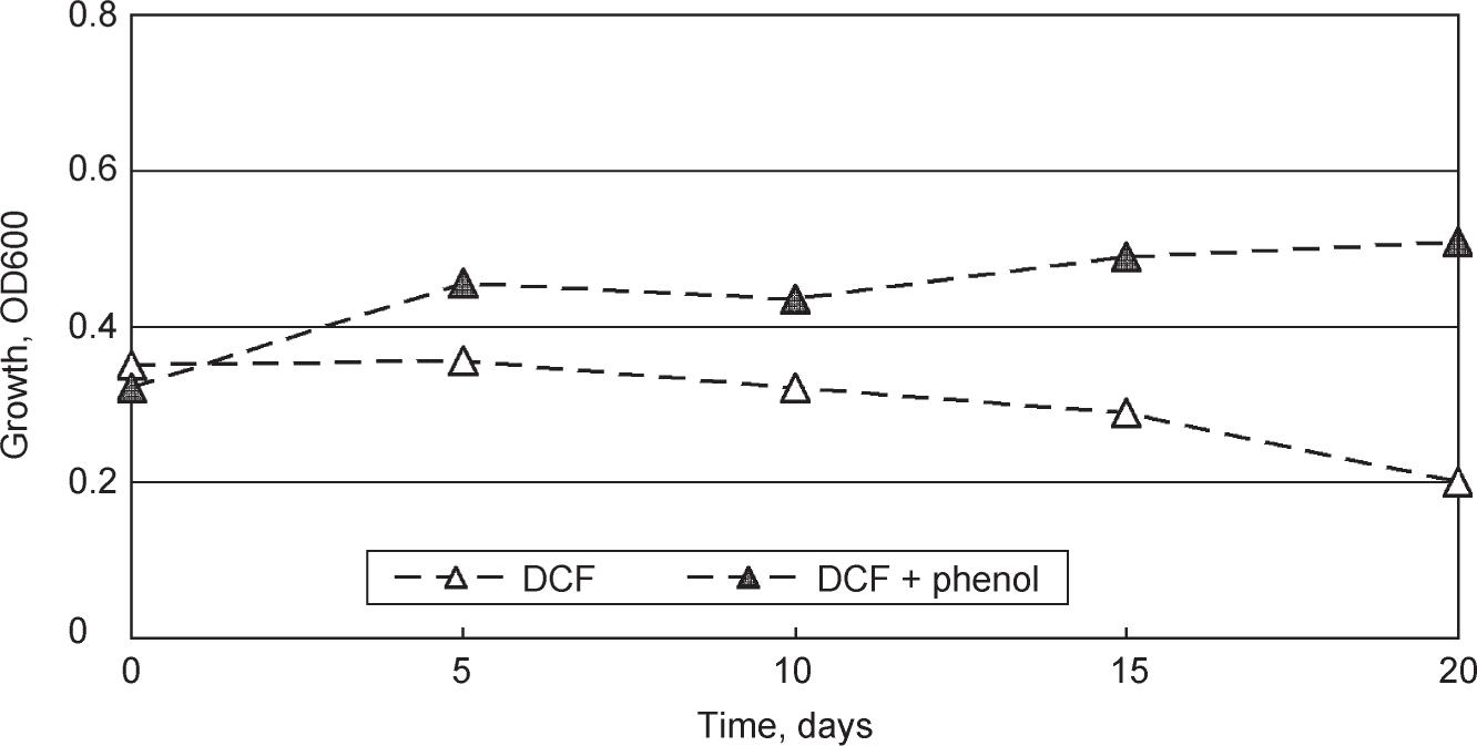 Changes in biomass of MG7 strain in the cultures that contained DCF, monitored as optical density at 600 nm, without additional carbon source and with phenol at a concentration of 100 mg/l as additional carbon source.