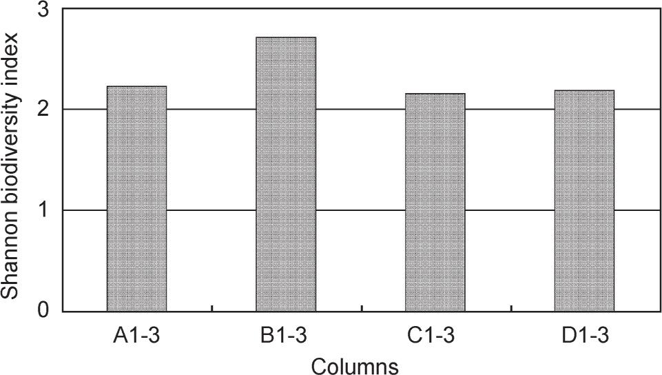 Shannon biodiversity index based on DGGE profiles.A1-3, C1-3 – the root samples non-exposed on DCF and SMX; B1-3, D1-3 – the root samples exposed on DCF and SMX. The frequency of wastewater supply: A1-3 and B1-3 – 0.35 l four times a day; C1-3 and D1-3 – 1.4 l once a day.