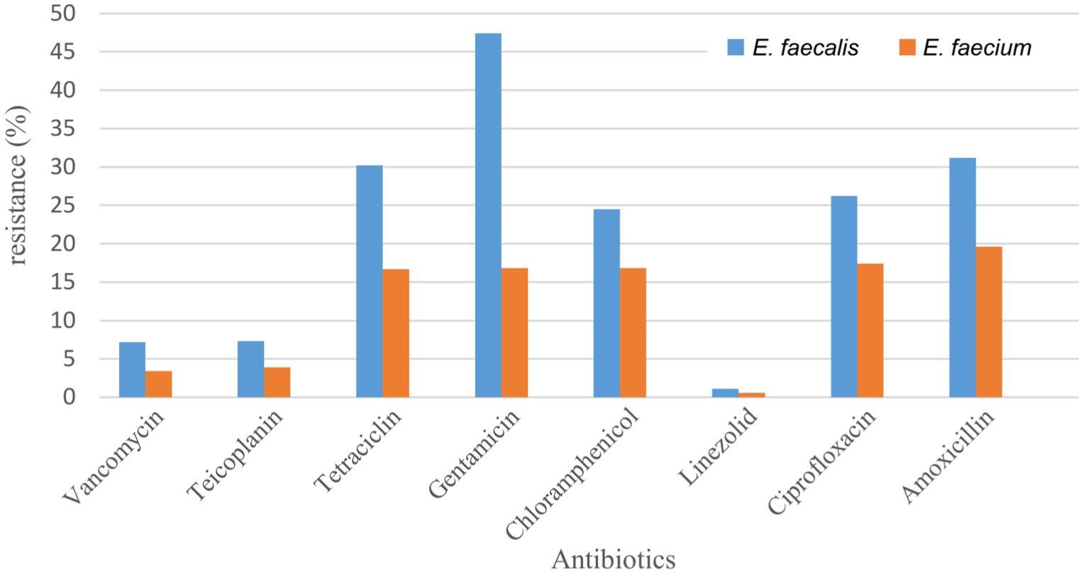 Antibiotic resistance pattern of E. faecalis and E. faecium isolated in this study against eight antibacterial agents.