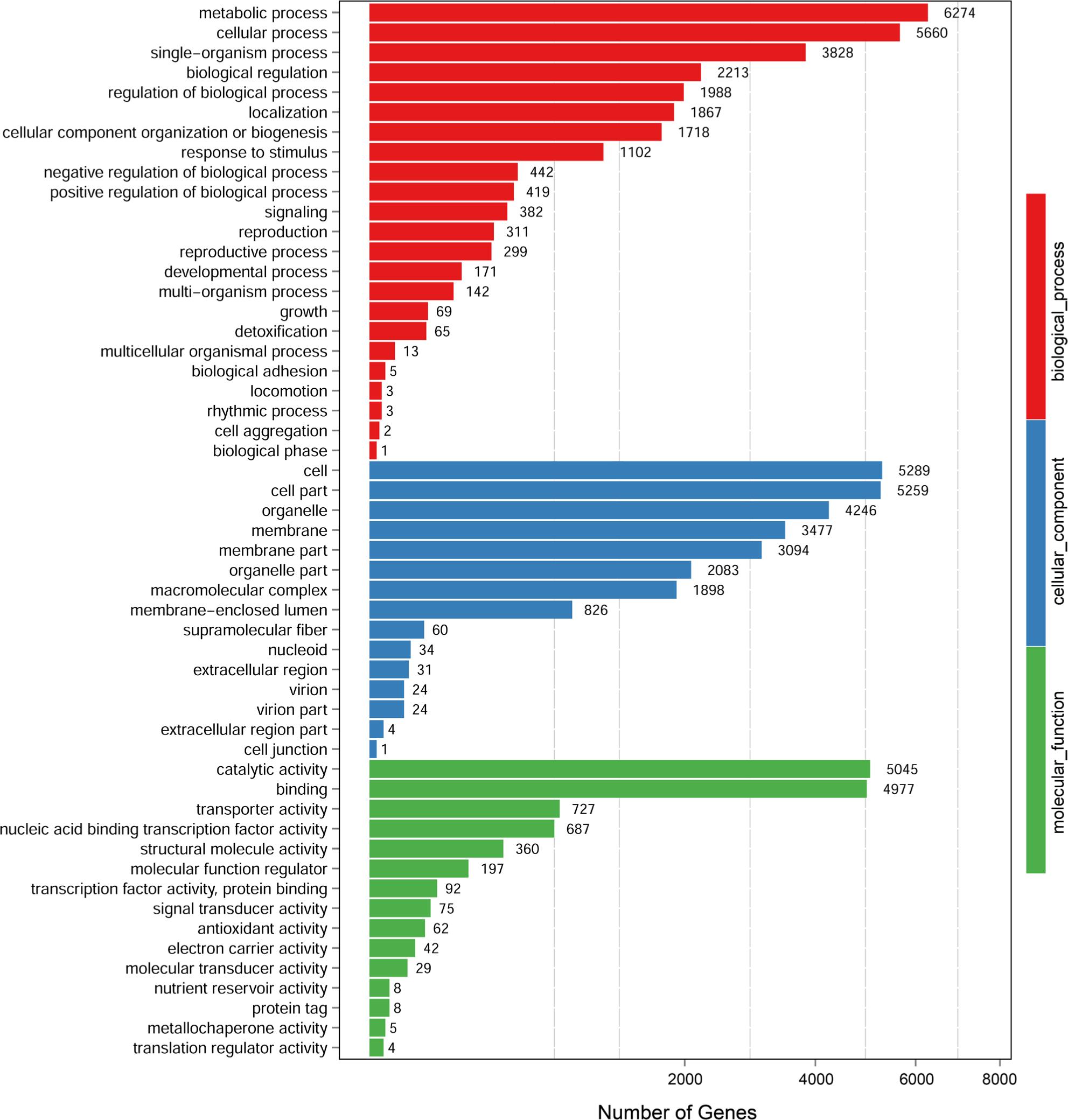 A. GO annotation of biological process, cellular component and molecular function.