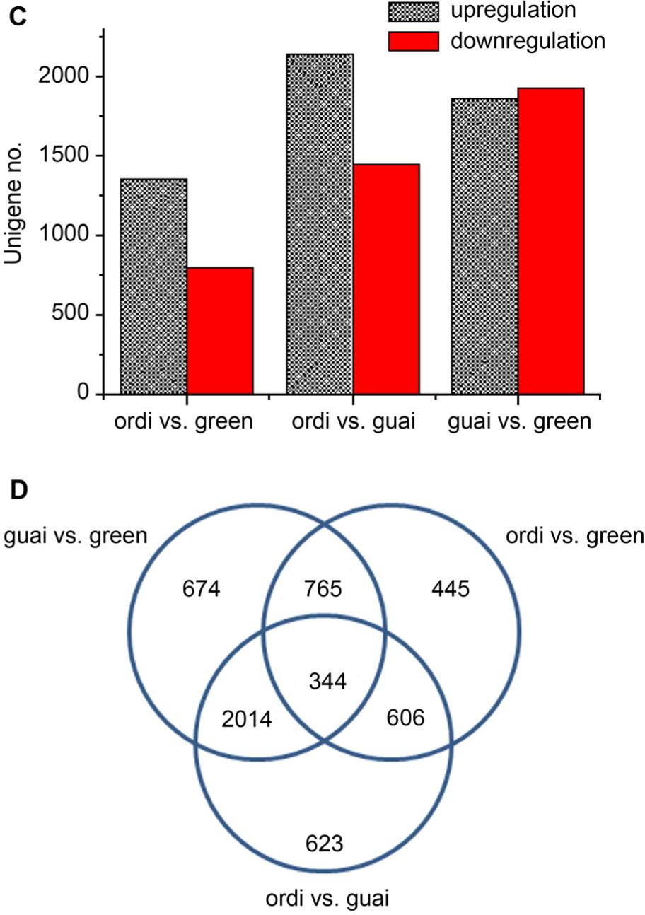 C. No. of DEGs in three comparisons. In a pairwise comparison, the former one is the control and the latter the treatment.D. Common and unique DEGs of three comparisons.