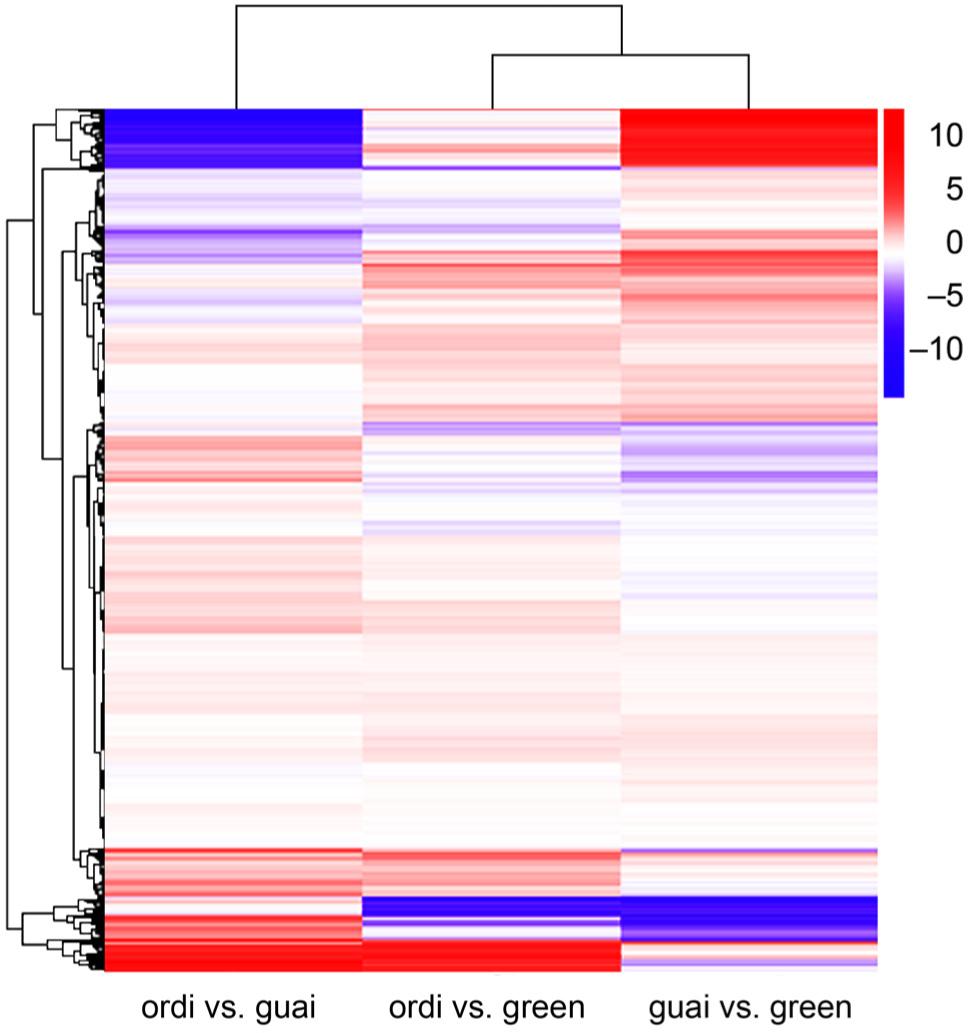 Hierarchical cluster analysis of DEG union set of ordi vs. green, ordi vs. guai, and guai vs. green. The redder the color, the greater the upregulation of the gene expression; the bluer the color, the greater the downregulation of the gene expression.