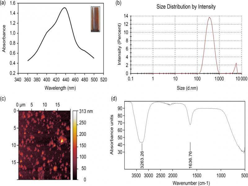 Characterization of AgNPs obtained WO.A. UV-Vis spectrophotometer analysis representing a peak of AgNPs at 452 nm and showing brown coloured nanoparticles. B. Zeta sizer (DLS) analysis representing peak at 356nm nm. C. Triangular shaped AgNPs revealed by AFM. D. Fourier transform infrared (FT-IR) analysis of AgNPs.