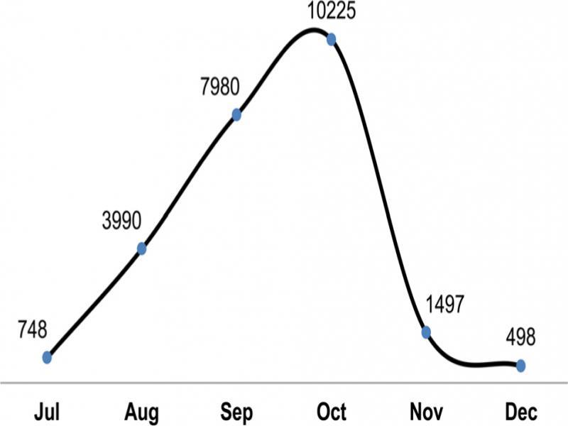 Month-wise dispersal of dengue infection.