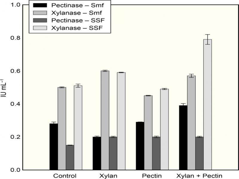 Effect of supplementation of pectin and xylan to banana peels containing medium on the production of pectinase and xylanase from A. fumigatus MS16 under solid-state (SSF) and submerged fermentation (Smf).