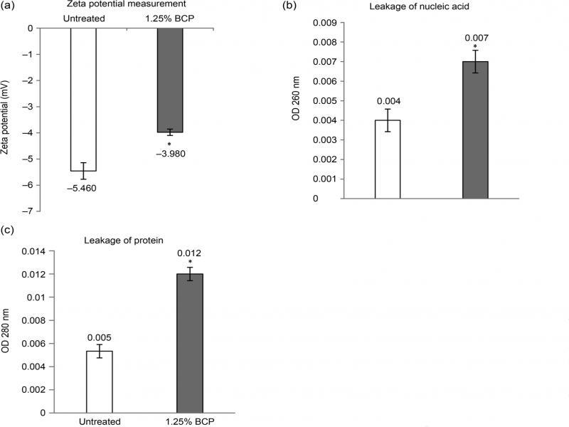 Assays performed to evaluate the effects of BCP on the membrane surface charge and integrity of B. cereus. (A) Zeta-potential value (mV) of untreated (–5.460 mV) and BCP-treated cells (–3.980 mV); (B) Nucleic acid content of untreated and 1.25% (v/v) BCP-treated B. cereus in the extracellular environment; and (C) Protein content of untreated and 1.25% (v/v) BCP-treated B. cereus in the extracellular environment. Results were presented in mean ± SD for triplicates and considered as significant when * p < 0.050.