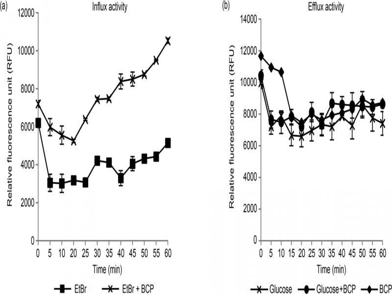 The influx and efflux of EtBr in B. cereus (A) EtBr influx assay with untreated and BCP-treated cells exposed to 1 mg/l of EtBr for 60 minutes and (B) EtBr efflux assay with the cells treated with glucose or BCP only and in a combination of glucose and BCP.