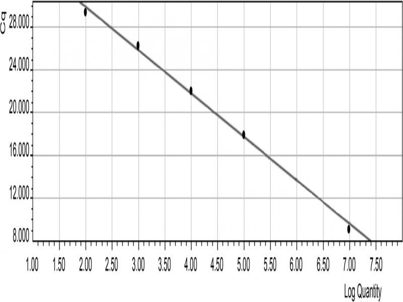 P. vulgaris standard curve (Note: log = 1og10).