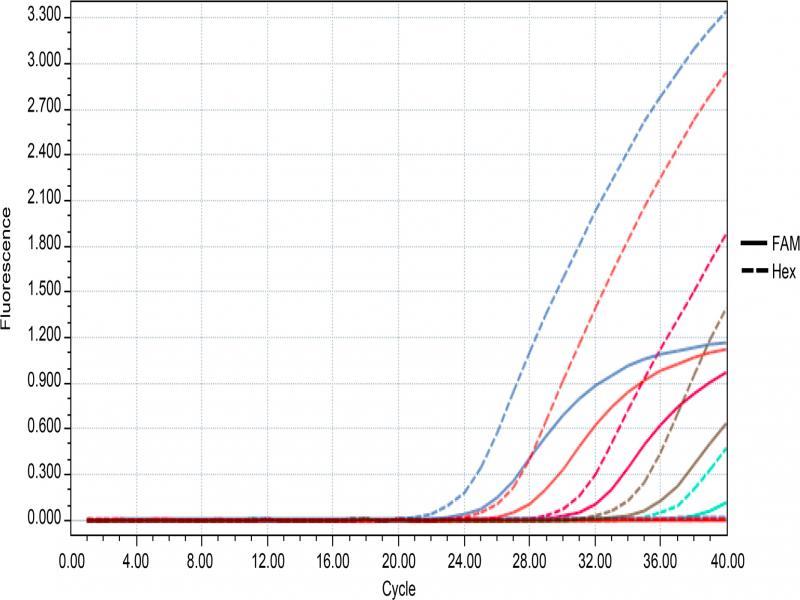 Detection limits of P. mirabilis and P. vulgaris in contaminated pork.The FAM channel was used to detect P. mirabilis, and the concentration of the ‘S’ amplification curve from left to right was in the range of 107 – 103 CFU/g. The HEX channel was used to detect P. vulgaris, and the concentration of the ‘S’ amplification curve from left to right was in the range of 107 – 103 CFU/g.