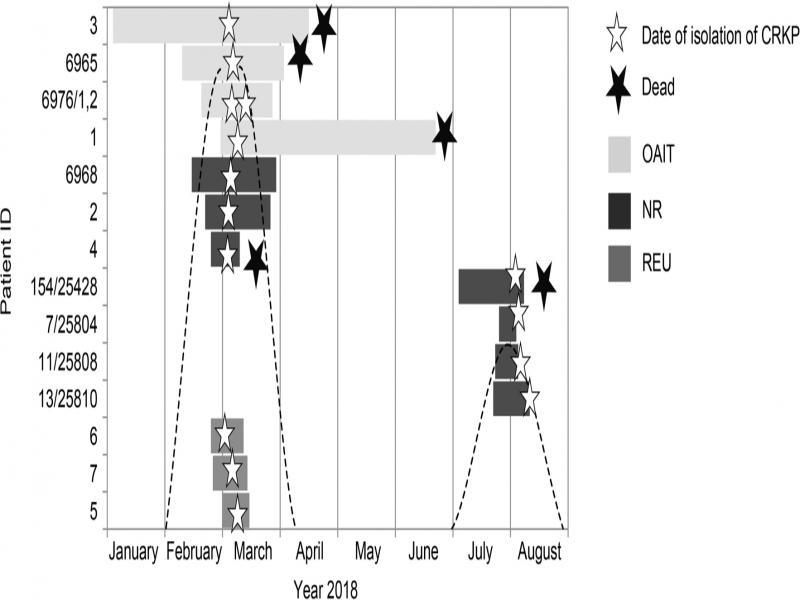 Gantt diagram depicting a timeline of patients’ admissions in relationship with the three wards and the length of stay in each ward. Epidemic curve based on the number of K. pneumoniae isolated in the time frame of the study.Abbreviations: OAIT-Department of Anaesthesia and Intensive Care, NR-Department of Neurology with the Stroke Subdepartment, REU-Department of Internal Medicine and Rheumatology.
