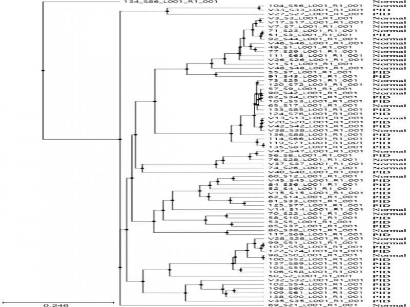 Clustering using the Unweighted Pair Group Method with Arithmetic mean (UPGMA).
