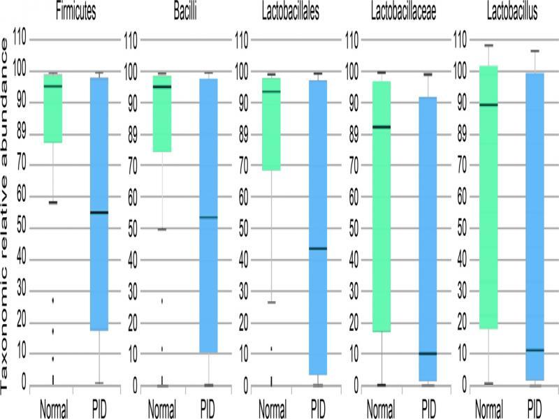 Taxonomic abundance with an LDA effect size of more than 5.